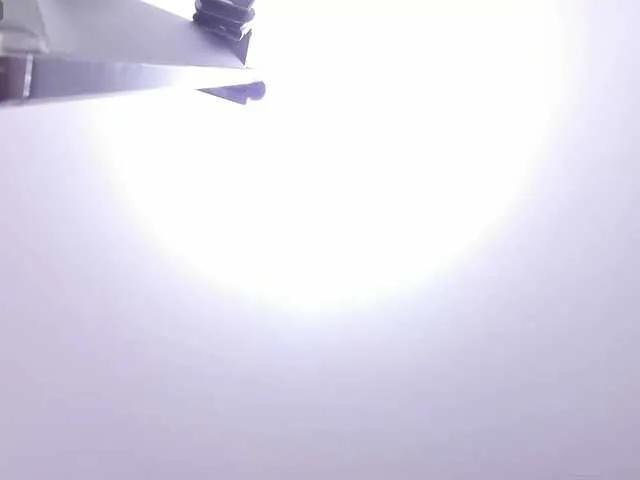 AbbyRaven on BongaCams