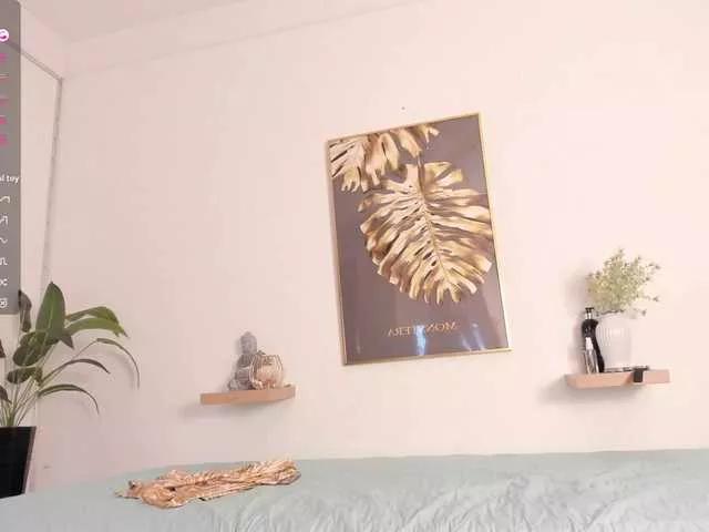 BongaCams amina-hafssa is Freechat amina-hafssa — money tokens