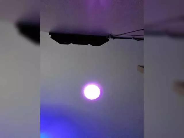 Offline analiMilana on BongaCams