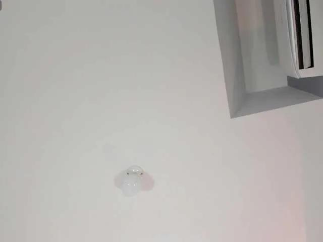 CarolainSanta — I love hearing those sounds of my wet pussy and your dick entering it. I love that you make me feel desired and that you care that I feel it.