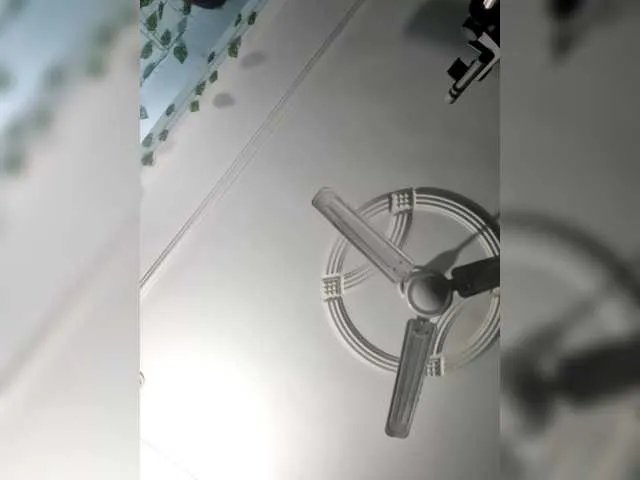 Dollmeenu —  Lush is ON -- tip to feel the buzz  My Lush is connected... control me with tips Tip = vibration You control my Lush tonight Make it buzz, make me blus