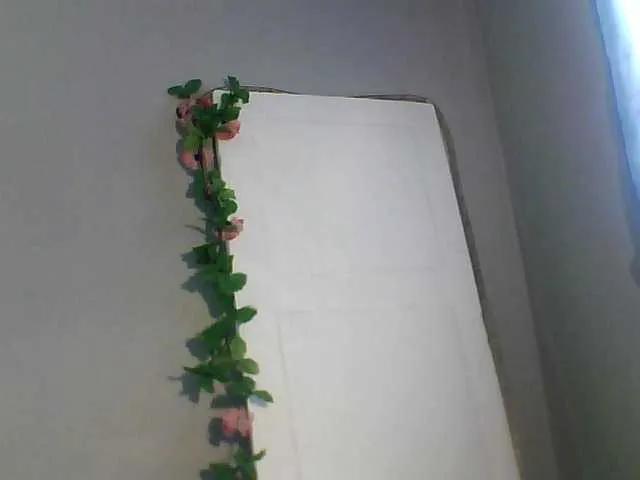 BongaCams luvu4everxxx is Freechat luvu4everxxx — Sucking and Fucking and play with my toys in pussy