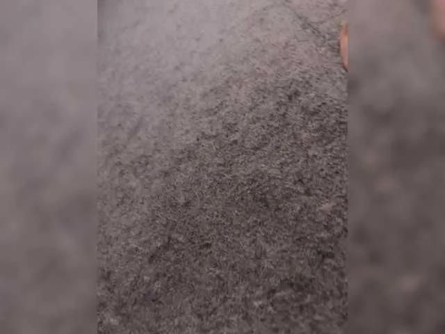 Freechat Sexy6969 on BongaCams