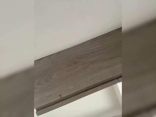 Freechat TinyRouse on BongaCams