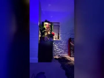 bellaxlauren — Goal: Twerk with panties on. #dance #dirtytalk #twerk #party #kinky - Next Goal: Both of us flash