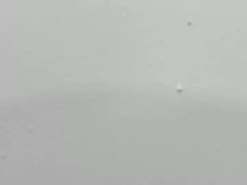 Freechat katy_and_paola on Chaturbate