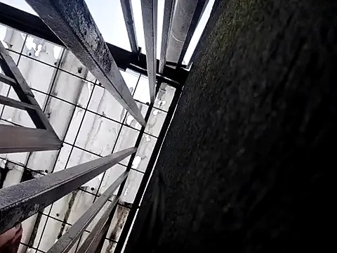 Freechat _Laary_Lily on StripChat