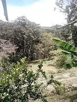 Private andreu_mature on StripChat