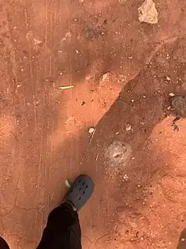 Freechat Black-mamba-madingo on StripChat