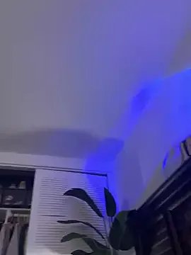 DallasAria on StripChat 