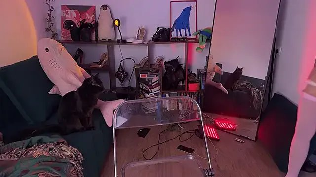 Freechat Erectioneering on StripChat