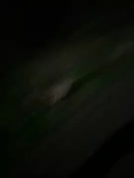 Group kimkim123123 on StripChat