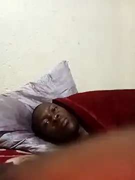 Freechat lilpip on StripChat