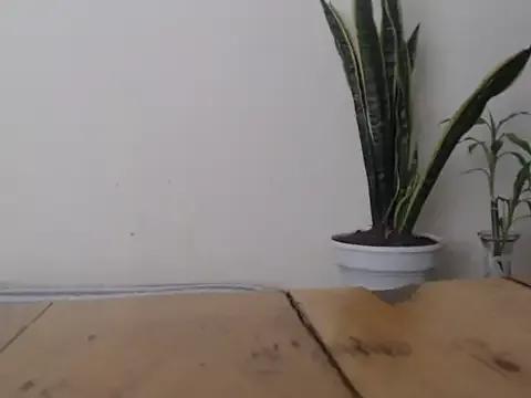 Private michel_ex33 on StripChat