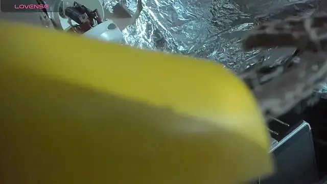 Freechat shayla_brown_ on StripChat