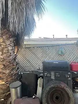 Freechat starrynikki on StripChat